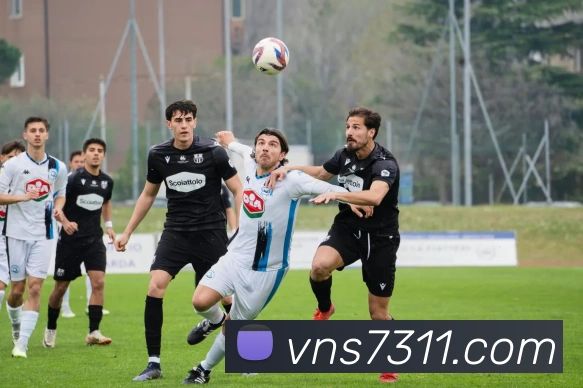 威尼斯人官网APP 封面图